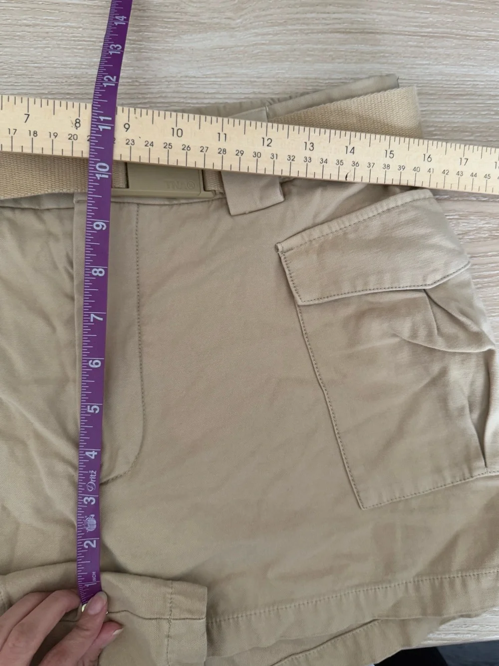 Aritzia TNA Large Curtis Cargo Shorts Tan Neutral Utility Safari Outdoor Belt